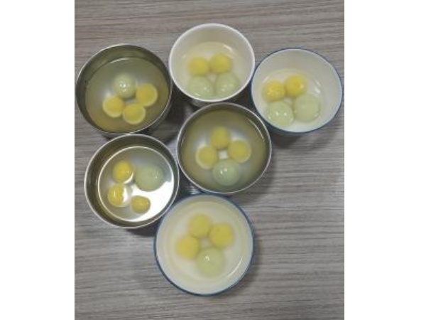 Kỷ niệm lễ hội đèn lồng và cùng nhau thưởng thức trăng tròn